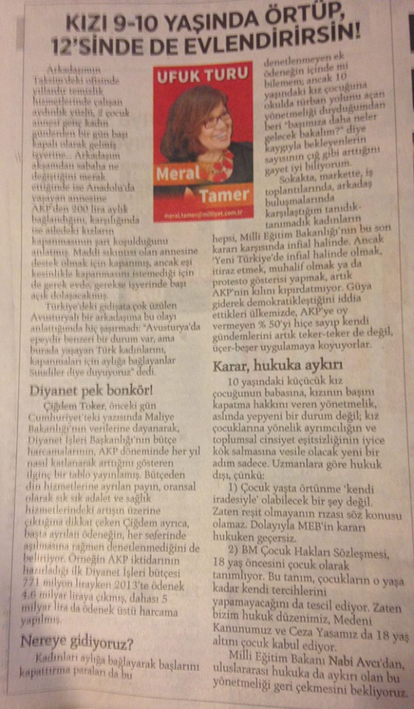 meral tamer yazi