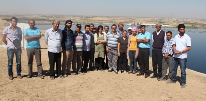 HDP’li Binici:  IŞİD’e sağlanan destek biran önce sona ermeli