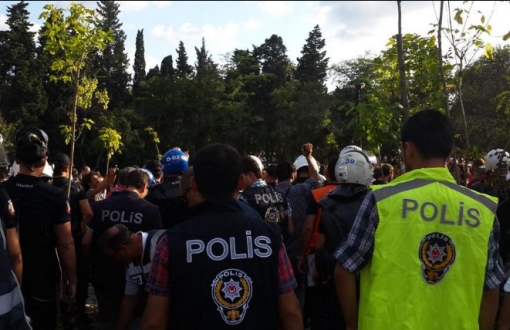 Validebağ’da Polis Gölgesinde Fidan Dikimi