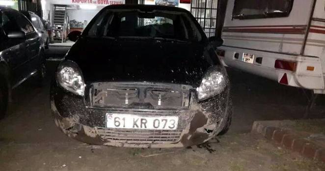 Trabzon’da Domuzlar Arabaya Saldırdı