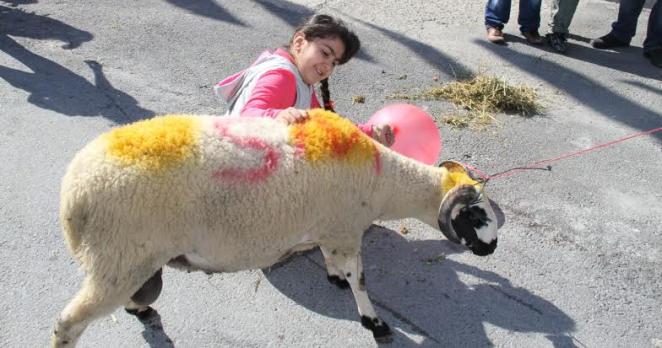 Bakırköy’de Kurban satış ve kesim alanları belli oldu