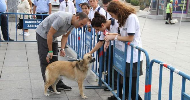 Yoldaş Hayvan Etkinlikleri Bakırköy’de