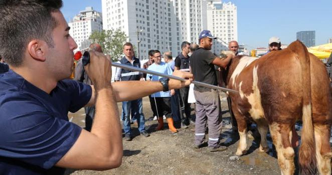 Kaçan kurbanlığa önlem