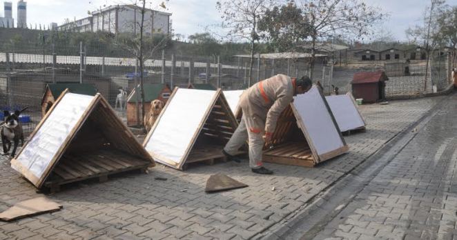 Beylikdüzü Belediyesinin ‘hayvan bakımevi’ kışa hazır…