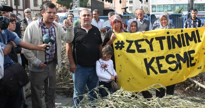 CHP’li Özel: “Yırca’da bir tek zeytin ağacı kalmadı”