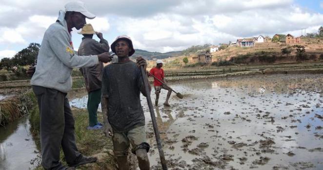 Madagaskar’da Kara ölüm ‘Veba’