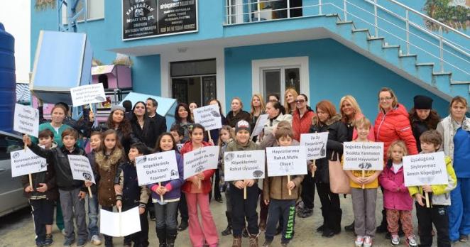 Miniklerin hayvan sevgisi kulübe yaptırdı