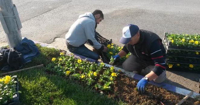 Çatalca Belediyesi mevsimlik çalışmalarını yapıyor