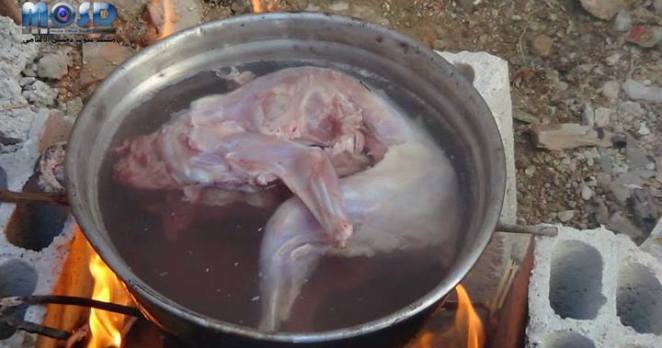 2 Bin kedi yenmekten kurtarıldı