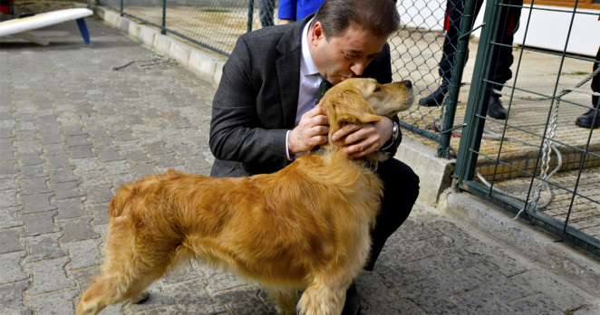 Maltepe’de 2014 yılında 7 bin 623 sokak hayvanı tedavi edildi