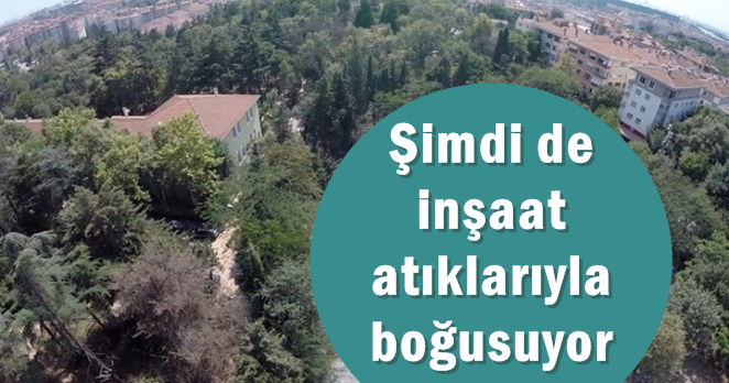 Validabağ’ın ağaçlarından sonra deresi de tehlikede!