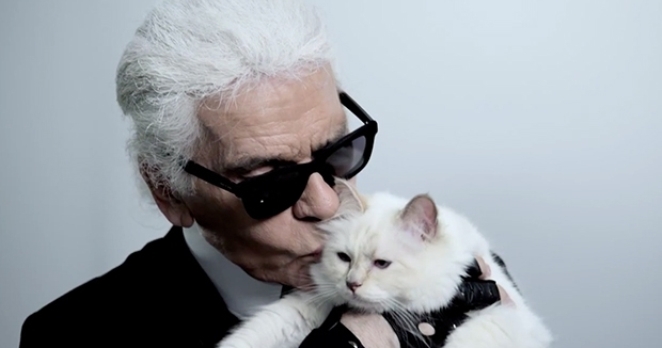 Choupette: O dünyanın en zengin kedisi!