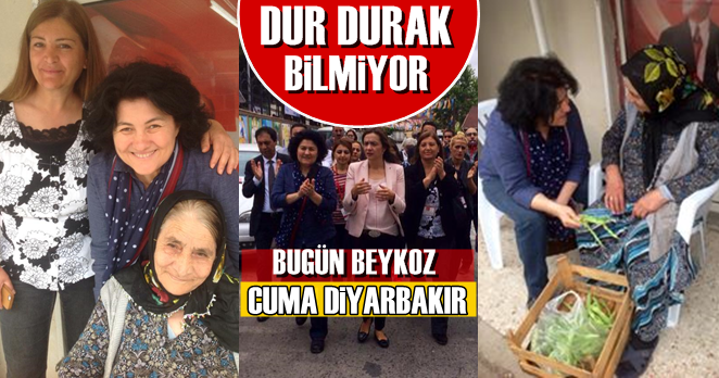 CHP’li Dokuzcan bugün de Beykoz’da