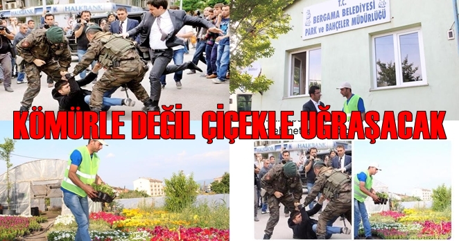 Tekmelenen madenci , Bergama Belediyesinde işe başladı