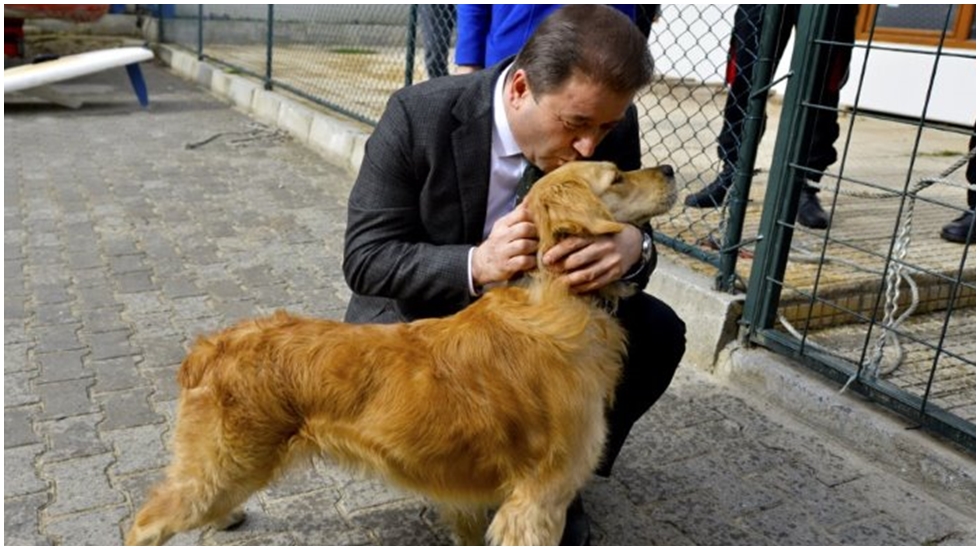 Maltepe’de 6 ayda 580 sokak hayvanı tedavi edildi
