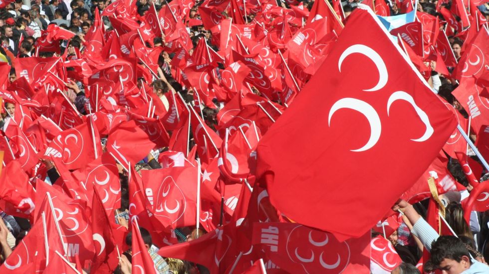 Saray bütün itlerinin kuduz aşısını yaptırsın