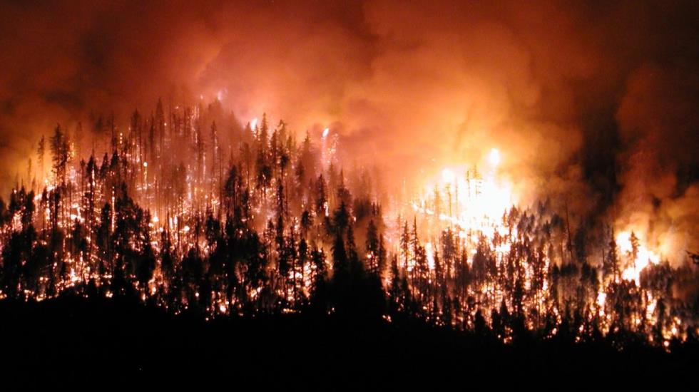 ABD’nin Kaliforniya eyaletinindeki yangınlar kontrol edilemiyor: Ölü sayısı 21’e çıktı