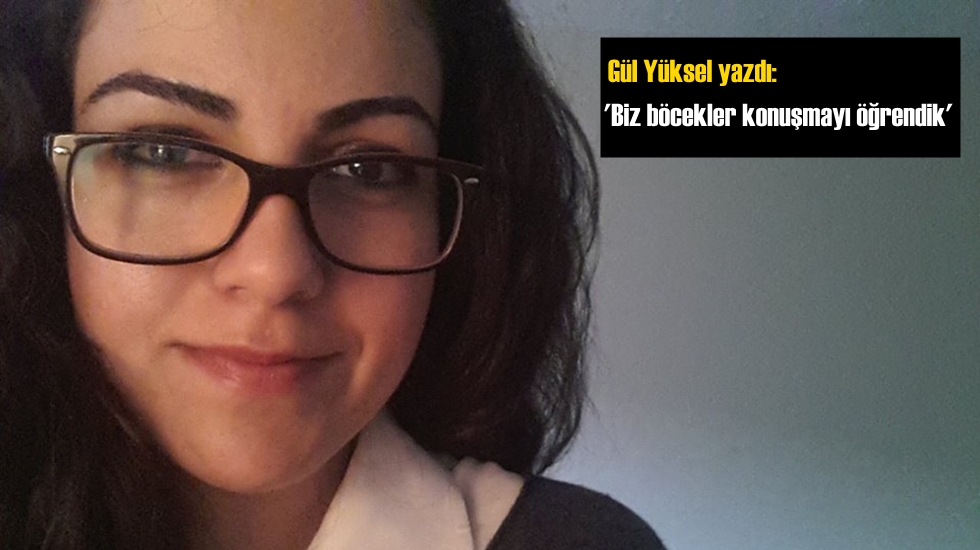 Biz böcekler konuşmayı öğrendik