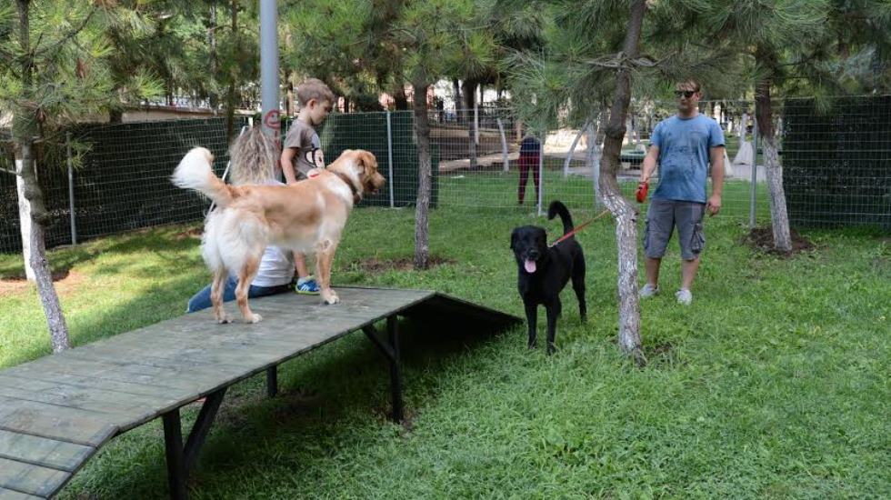 Beylikdüzü Belediyesi pati parkları çoğaltıyor
