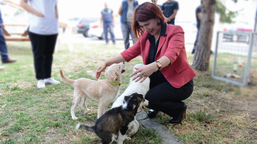 Avcılar Belediyesi “Kuduz Aşısı Kampanyası” başlattı.