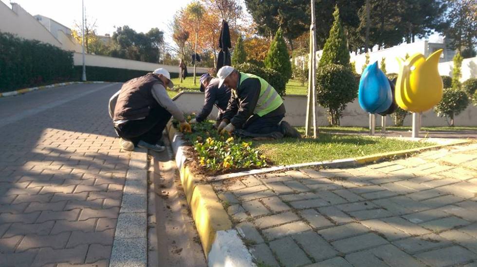 Avcılar çiçeklerle renkleniyor