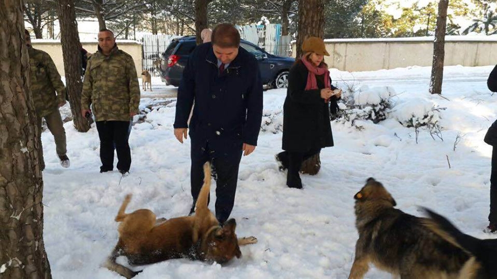 Belediye 9 bin “dostuna” kucak açtı