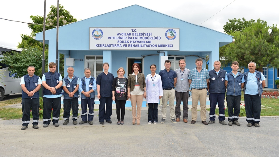 Avcılar’da yaşayan sevimli dostlar artık sahipsiz değil