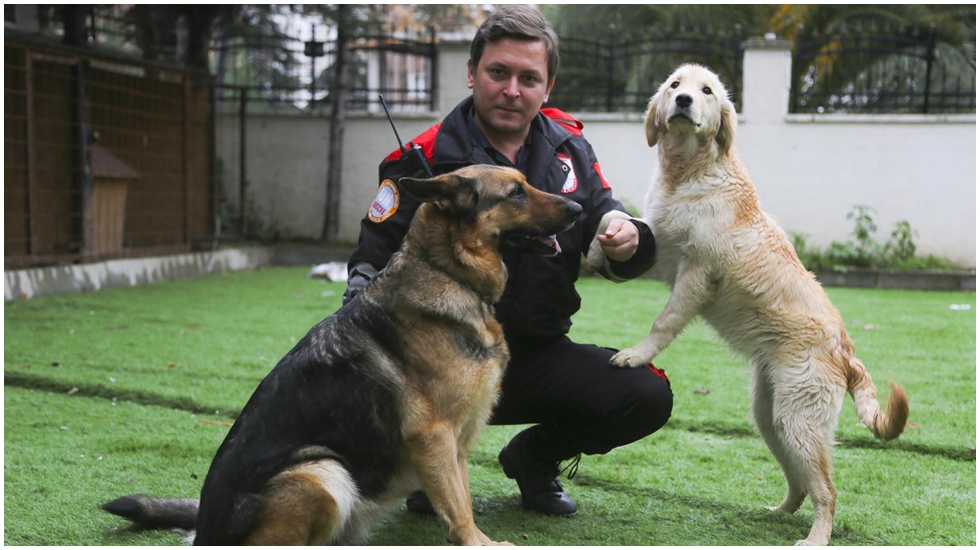 Maltepe’de üç sokak köpeği daha arama kurtarmacı oldu
