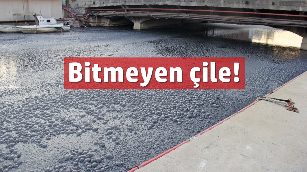 Kadıköylülerin kurbağalıdere çilesi havaların ısınmasıyla yeniden başladı