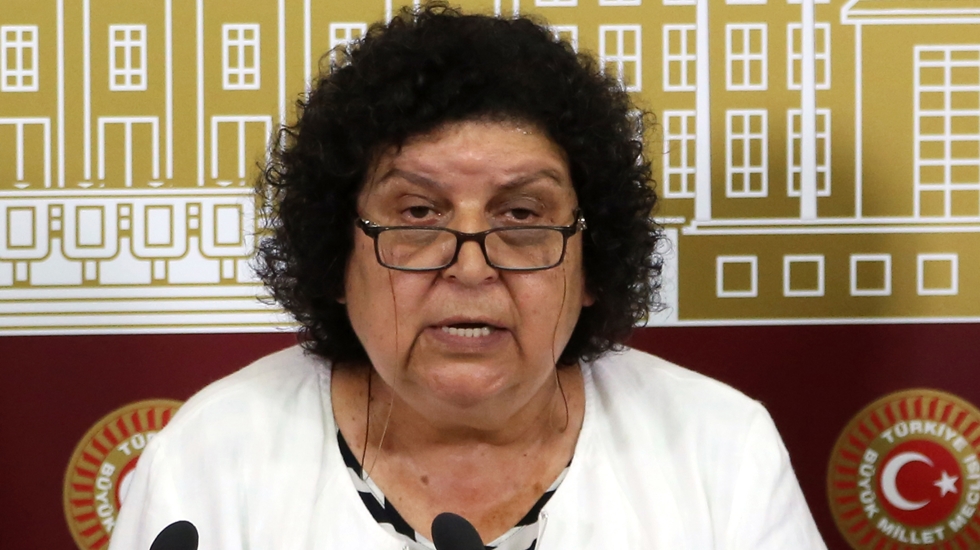 Şenal Sarıhan: Türkiye, “Büyük Gözaltı”yı yaşıyor