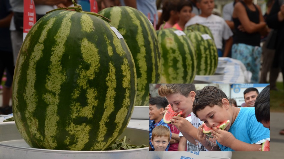 Kadıköy’de en iyi karpuz yarışması