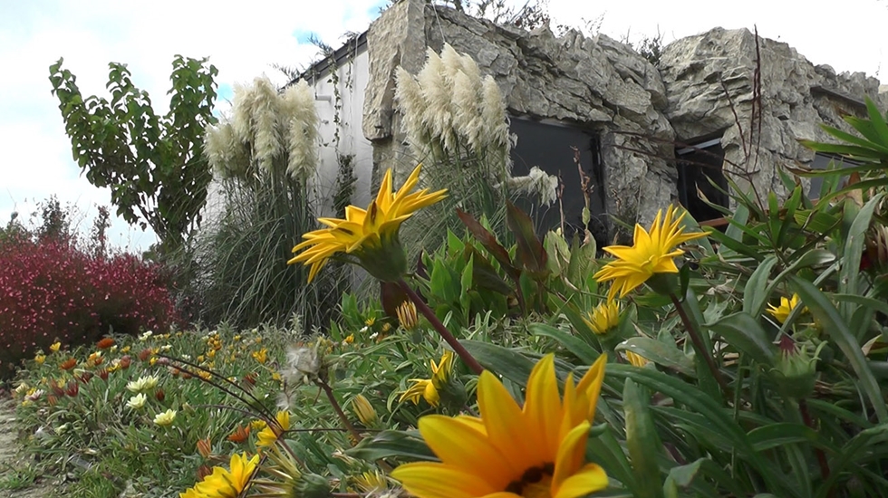 Büyükçekmece’de “Yeşil Çatı” uygulaması
