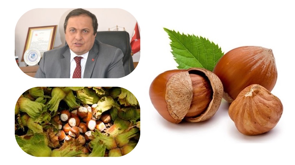 Torun: ‘Türk fındığını itibarsızlaştırmaya yönelik bir oyun’