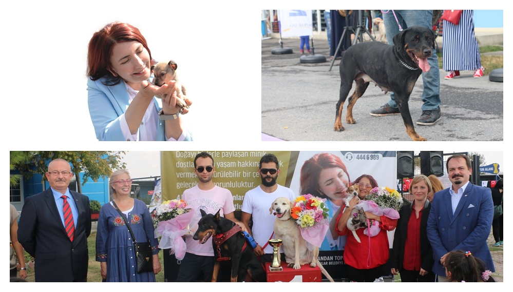 ‘Dünya Hayvanları Koruma Günü’  Avcılar’da bir başka oluyor