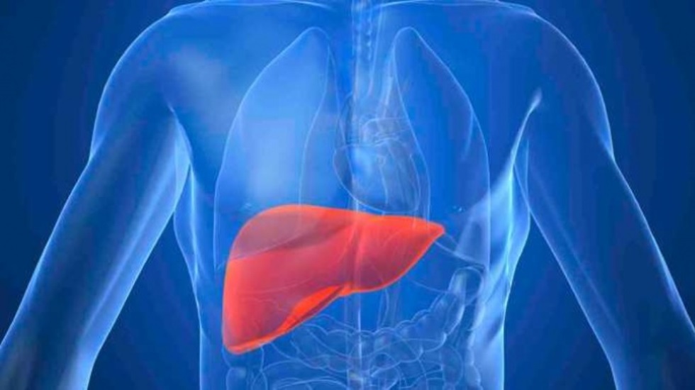 Hepatit hastaları beslenmede karaciğerlerini zorlamamalı