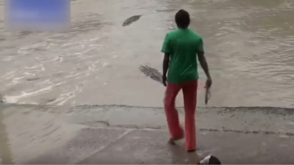 Timsahı terlikle kovaladı