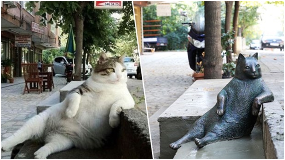 Fenomen kedi Tombili’nin heykeli yapıldı