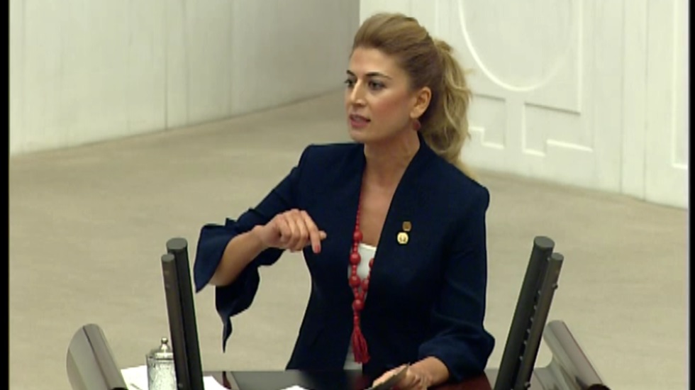 Didem Engin: “Nerede sizin İslami hassasiyetiniz”