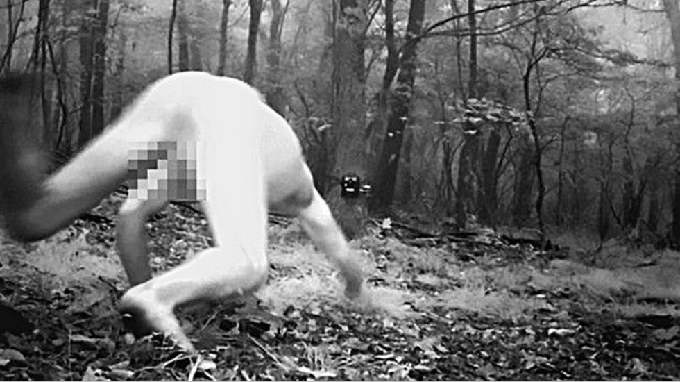 Gece kamerasıyla ormanı izleyen araştırmacılar şok oldu