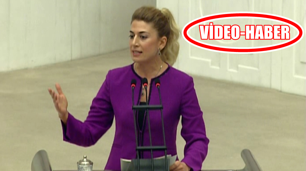 Didem Engin AKP’ye Namık Kemal’in ‘Hürriyet kasidesi’ ile meydan okudu!