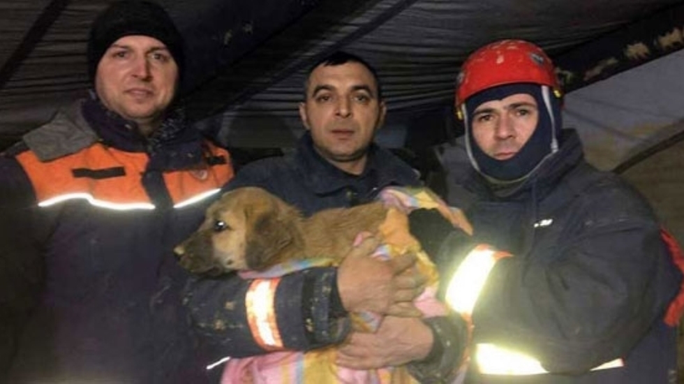 70 metrelik kuyuda 10 gün mahsur kalan yavru köpek ‘Kuyu’ kurtarıldı