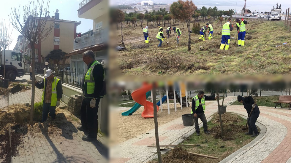 Daha yeşil Büyükçekmece için ağaçlandırma çalışması devam ediyor