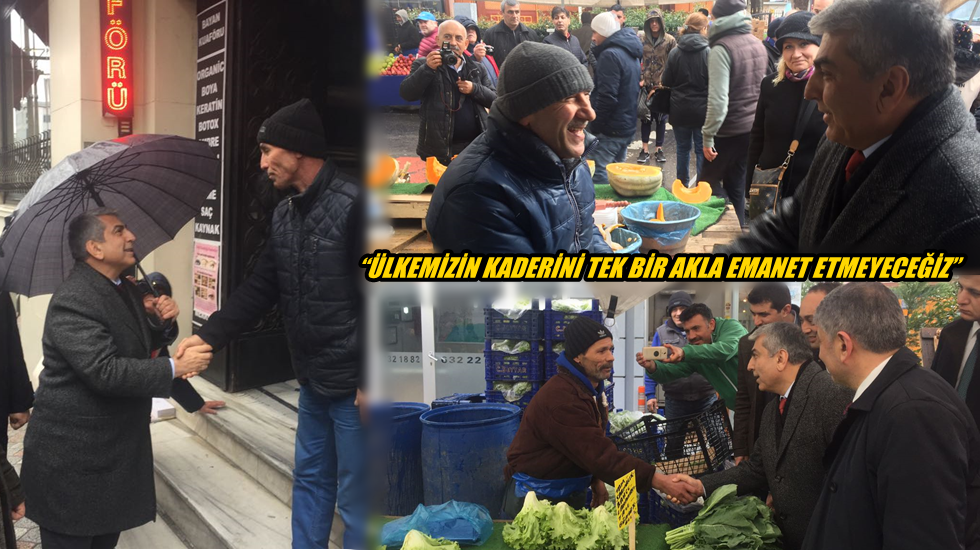 Canpolat alan çalışmalarına katıldı