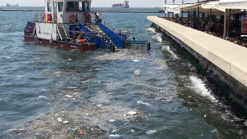 Marmara denizi hızla kirleniyor, balıklar azalıyor, midyeler tehlike saçıyor!
