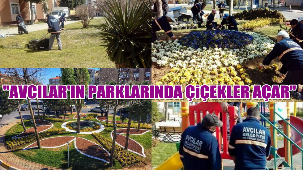 Hoşgeldin bahar: Her mevsim güzel Avcılar