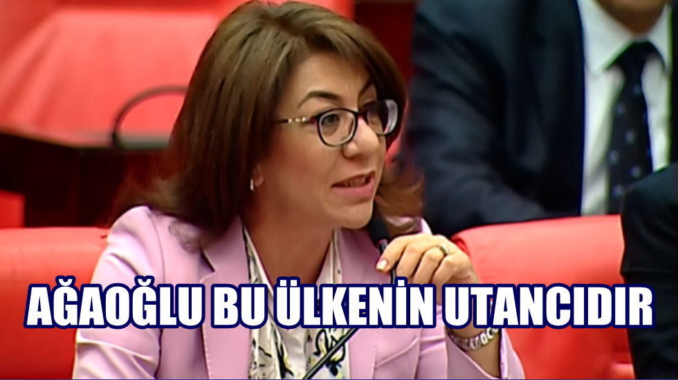 CHP’li Yıldız Biçer’den Ali Ağaoğlu’na suç duyurusu