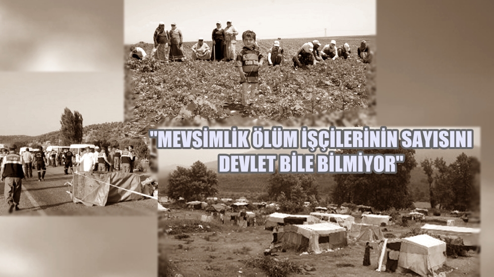 Ağbaba: “Mevsimlik ölüm işçilerinin sayısını devlet bile bilmiyor”