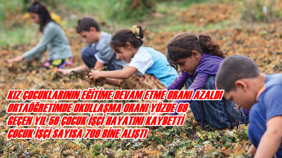 Gürer: “Kız çocuklarının eğitime devam etme oranı azaldı”