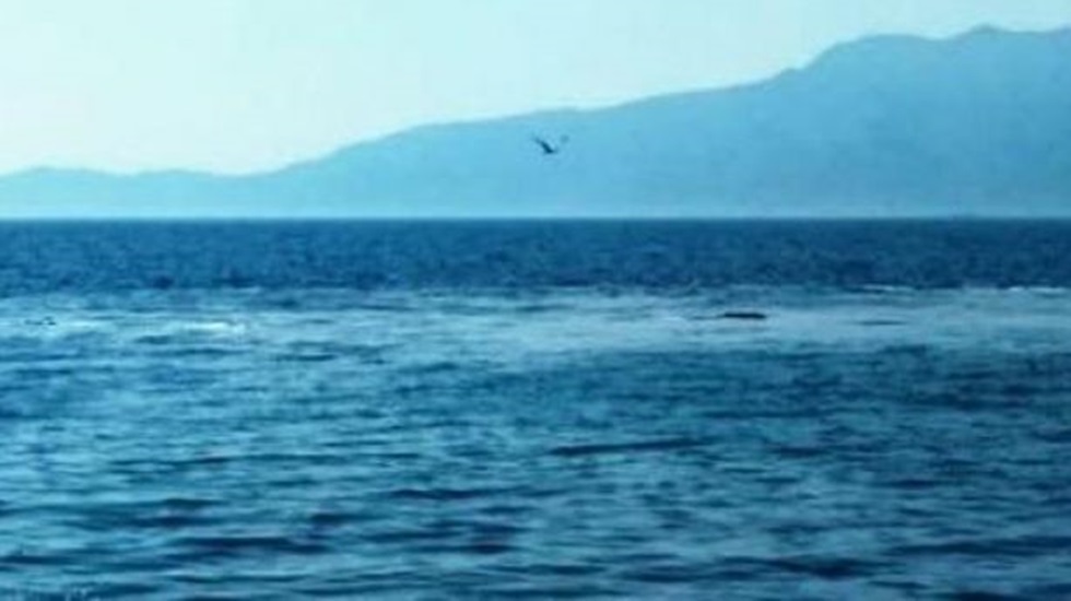 Çanakkale’de denizde beliren görüntü panik yarattı