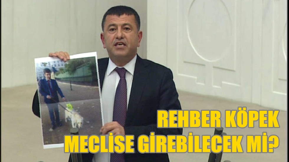 Ağbaba: “1 haftadır rehber köpeği meclise aldırmak için uğraşıyoruz”